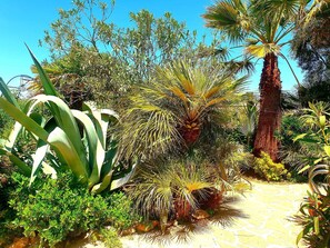 Room, 1 Bedroom, Private Pool, Pool View | Garden