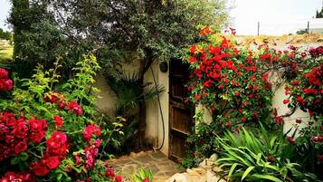 Habitació, 1 dormitori, piscina privada, vistes a la piscina | Jardí