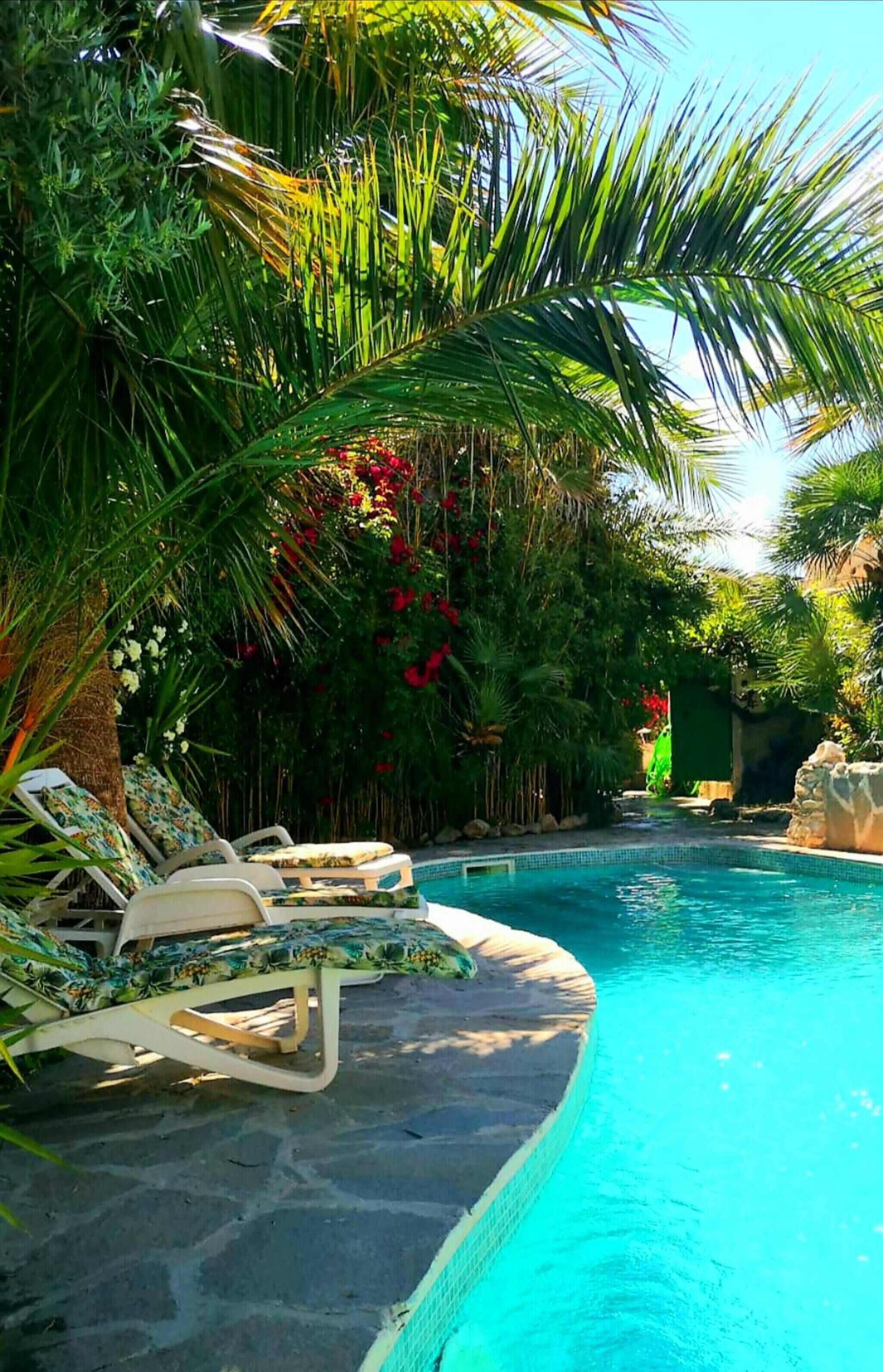 Room, 1 Bedroom, Private Pool, Pool View | Pool | Outdoor pool