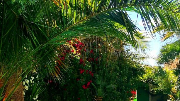 Room, 1 Bedroom, Private Pool, Pool View | Pool - Room-peaceful Private Garden Studio for (Cullar)