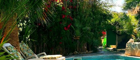 Quarto, 1 quarto, piscina particular, vista para a piscina | Piscina | Piscina externa