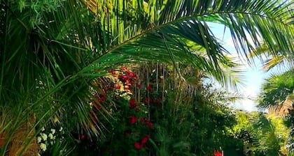 Room-peaceful Private Garden Studio for
