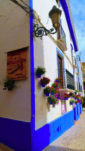 Rum - 1 sovrum - tillgänglighetsanpassat - utsikt mot trädgården | Detalj exteriör