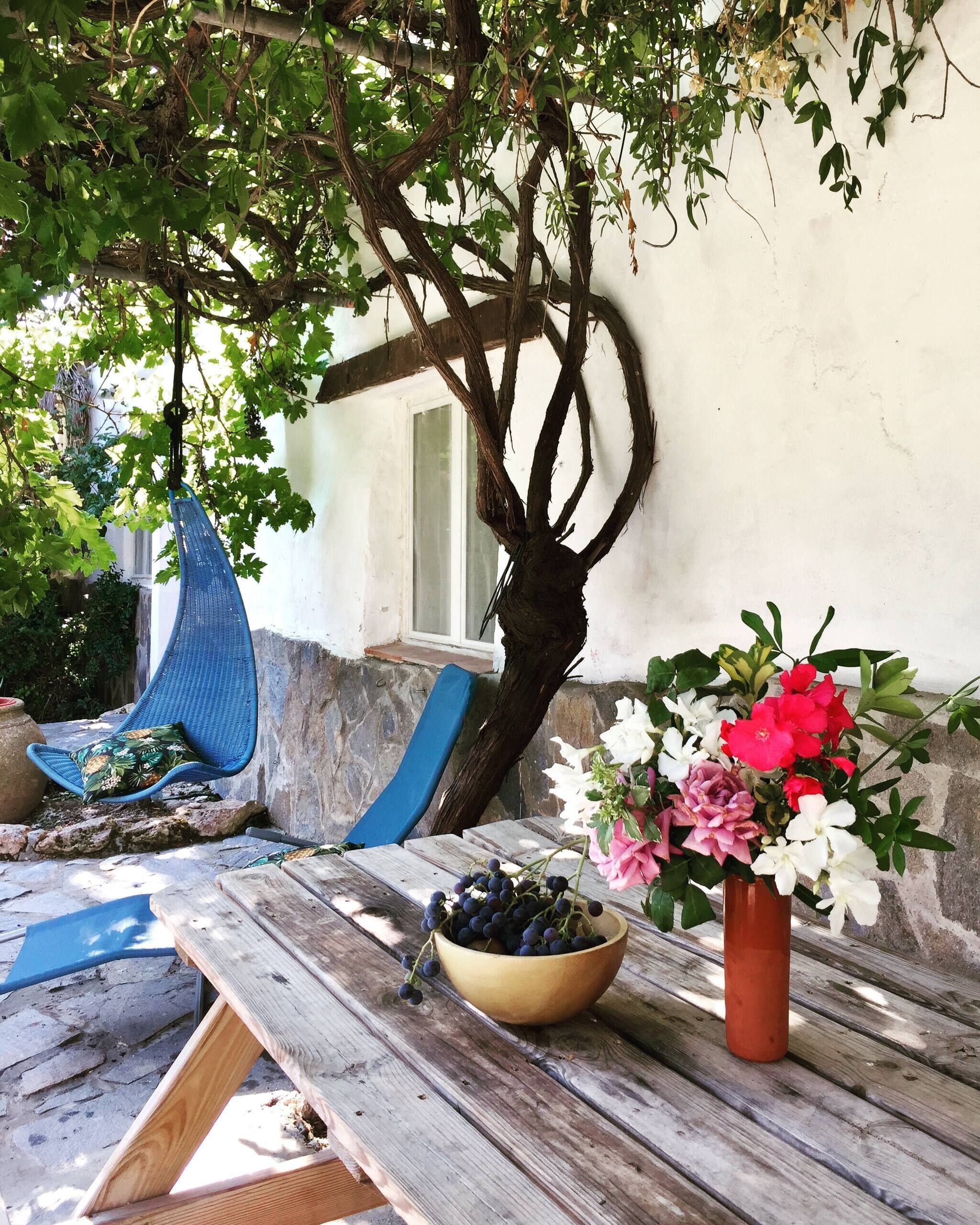 Room, 1 Bedroom, Accessible, Garden View | Terrace/patio