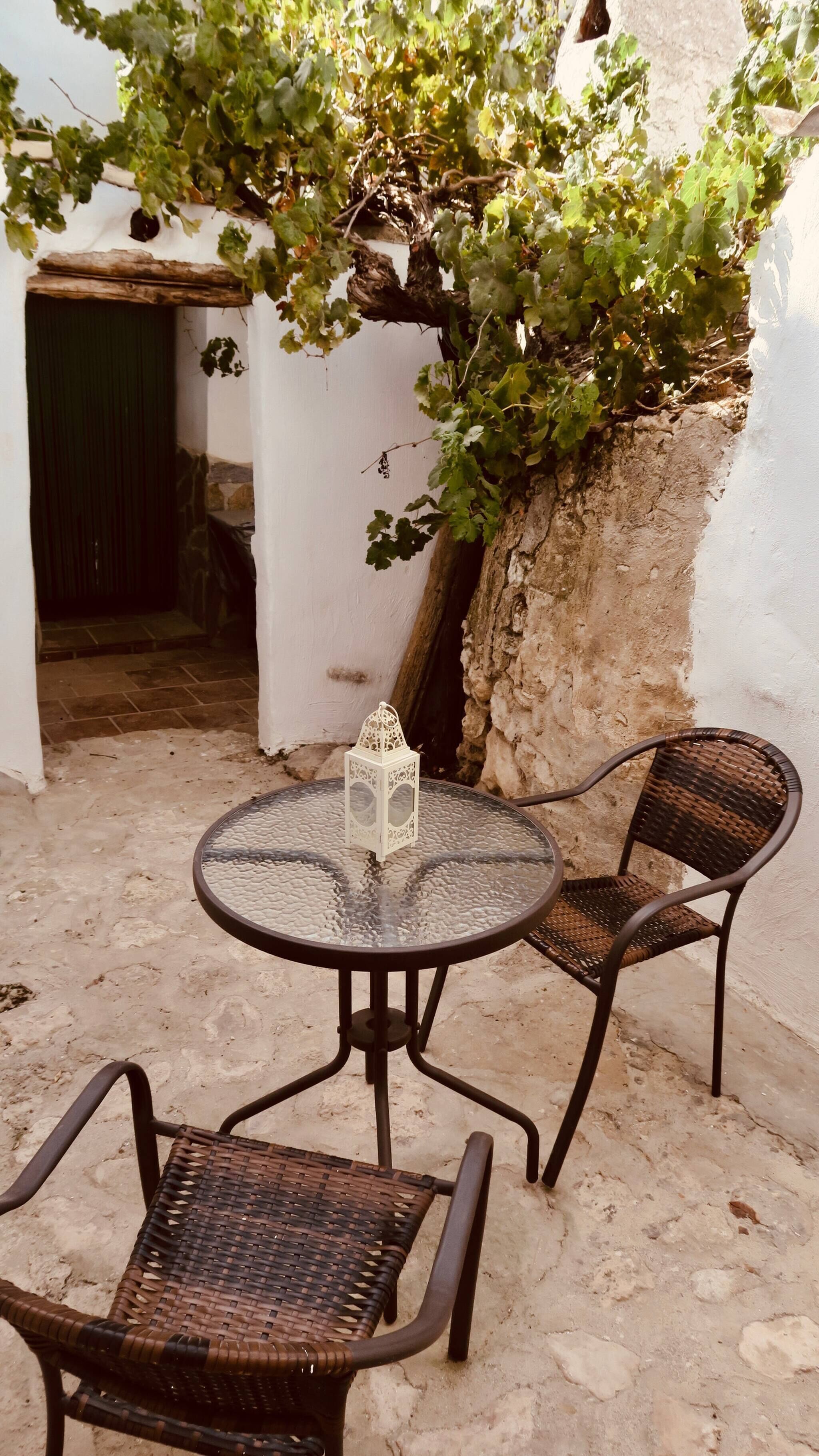 Habitación, 1 habitación, accesible para personas con discapacidad, vistas al jardín | Terraza o patio