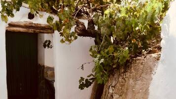 Habitación, 1 habitación, accesible para personas con discapacidad, vistas al jardín | Terraza o patio