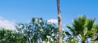 Room-peaceful Rural Andalusia Retreat wi