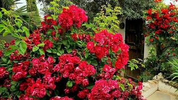 Room, 1 Bedroom, Accessible, Garden View | Exterior detail