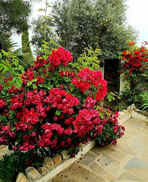 Quarto, 1 quarto, acessível, vista para o jardim | Detalhe da fachada