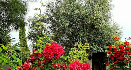 Room-peaceful Rural Andalusia Retreat wi