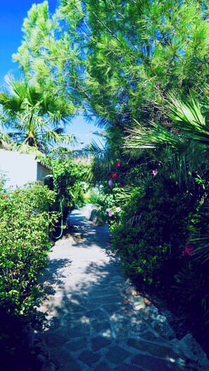 Room, 1 Bedroom, Accessible, Garden View | Garden