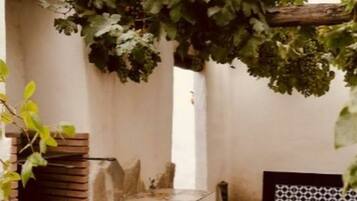 Room, 1 Bedroom, Accessible, Garden View | Property grounds