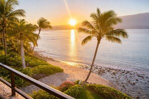 A beach with palm trees and a sunset over the water. - Where Ocean Meets Sky Maalaea Refreshed Oceanfront Condo Panoramic Views (Wailuku)