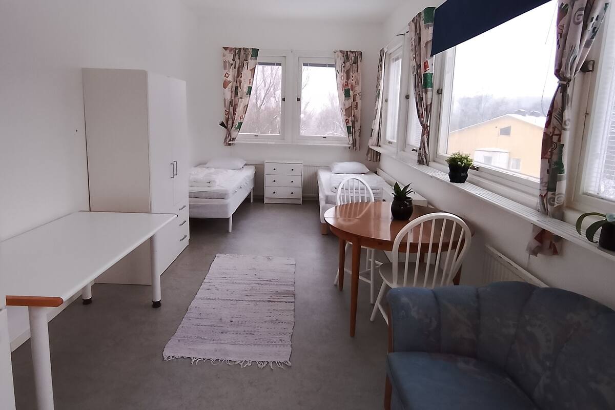 A compact, well-lit room with a bed, a desk, a dining table with chairs, and a sofa. There are two windows with curtains, a radiator, and a small plant on the windowsill.