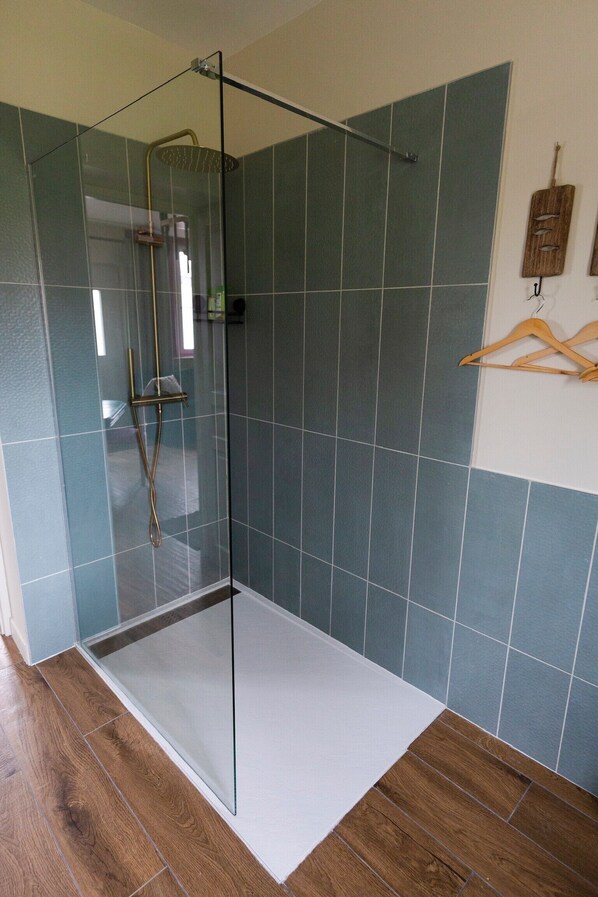 Shower, hair dryer, towels