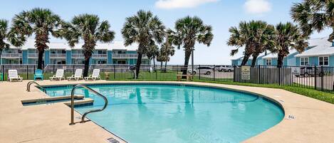 A swimming pool with lounge chairs, palm trees, and a fence.
