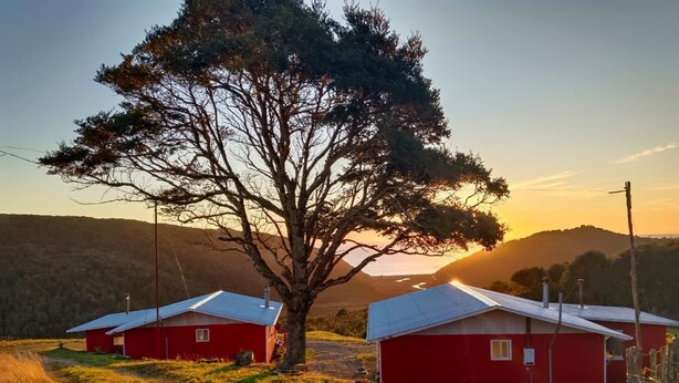 Deux cabanes rouges aux toits métalliques, un grand arbre au premier plan et un paysage vallonné en arrière-plan.