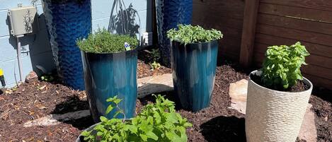 Áreas de la propiedad