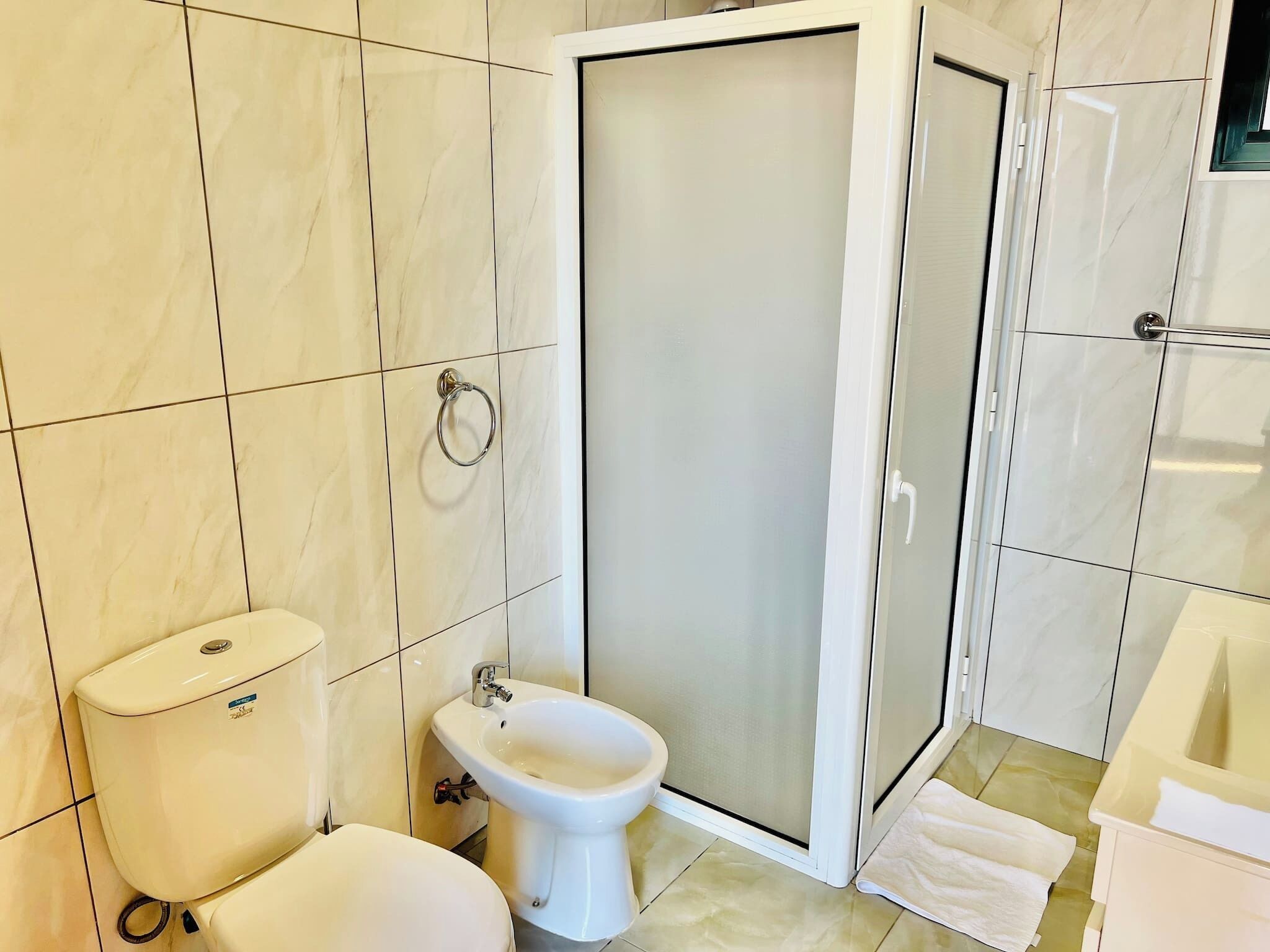 Ein Badezimmer mit Toilette, Bidet und Duschbereich.