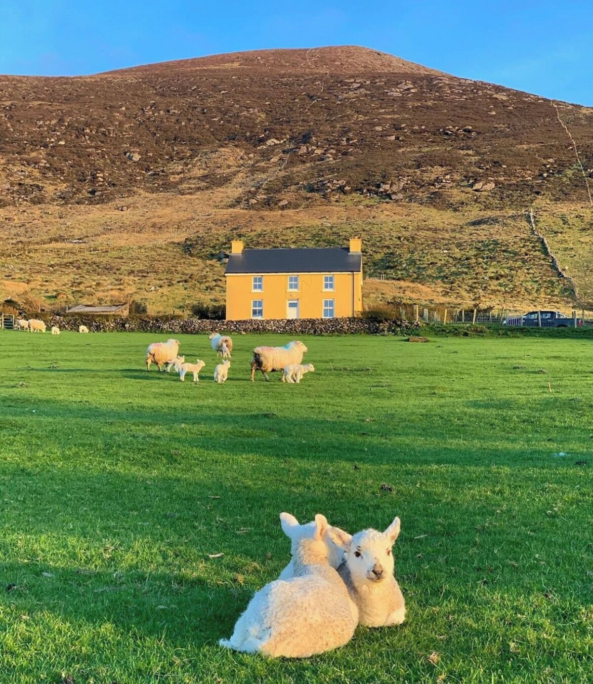 Image de profil de l’hôte