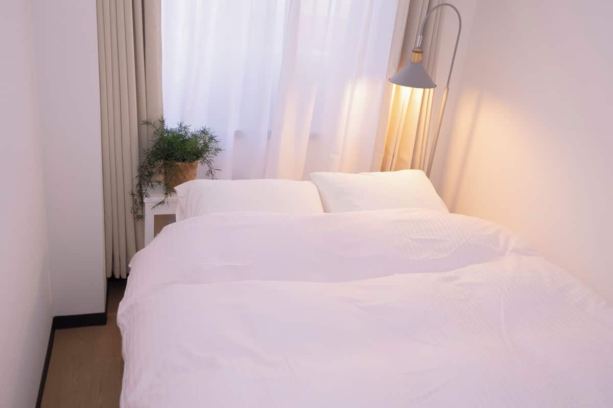 Un lit bien fait, avec du linge de lit blanc, une lampe de chevet et une plante en pot sur une table de chevet.