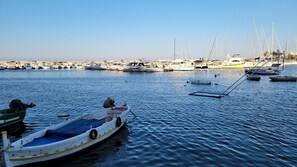 Niet-geclassificeerde afbeelding, 5 van 60, knop