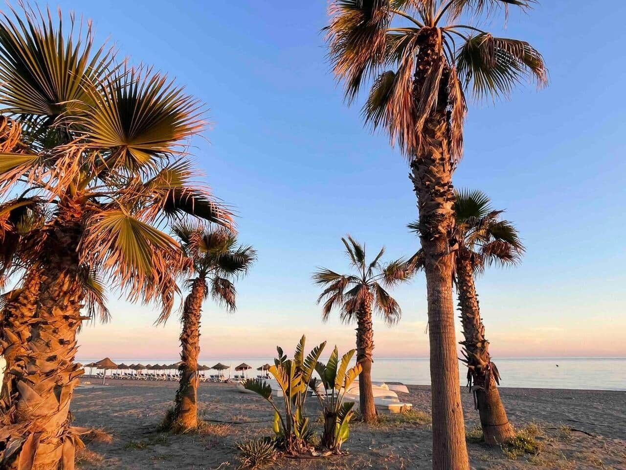 Tumbonas y toallas de playa