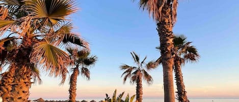 サンラウンジャー、ビーチタオル