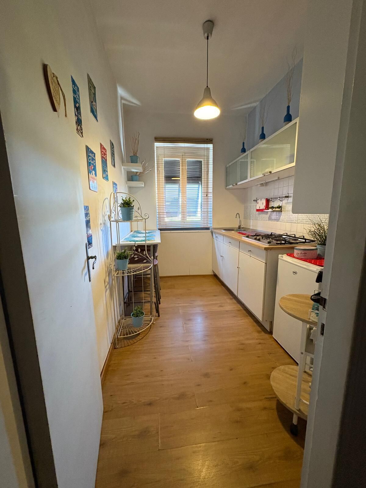 Fridge, microwave, stovetop, toaster