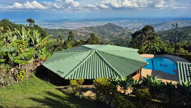 Une vue d’une maison dotée d’un toit végétalisé, entourée d’une végétation luxuriante et d’une piscine.