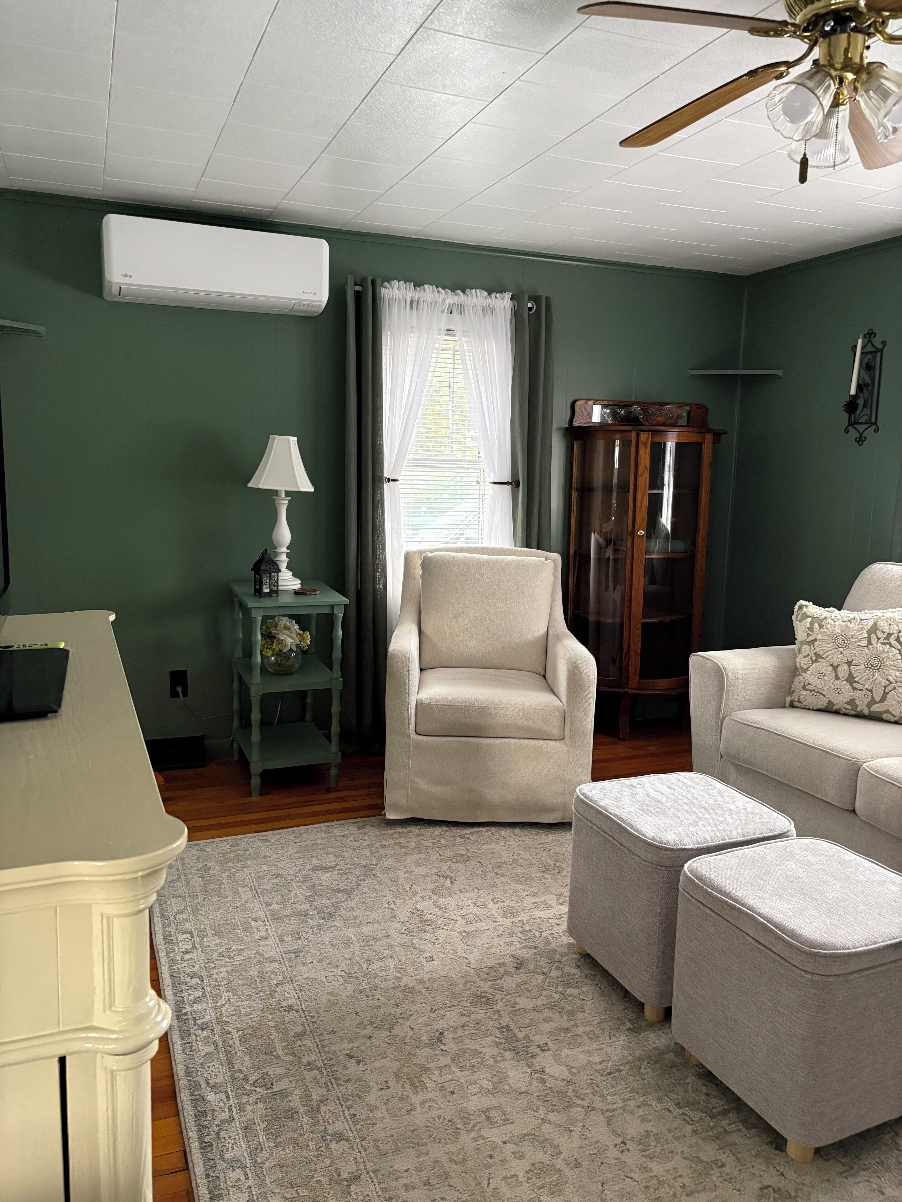 Smart TV, fireplace, books