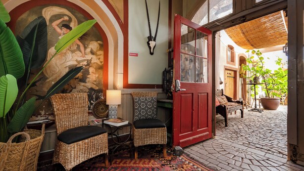 Een gezellig interieur met rieten meubels, een kamerbreed tapijt met een patroon en een grote potplant.