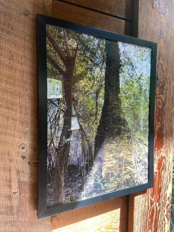 A framed photograph of a forest scene with a large tree trunk and a birdhouse on a wooden structure.