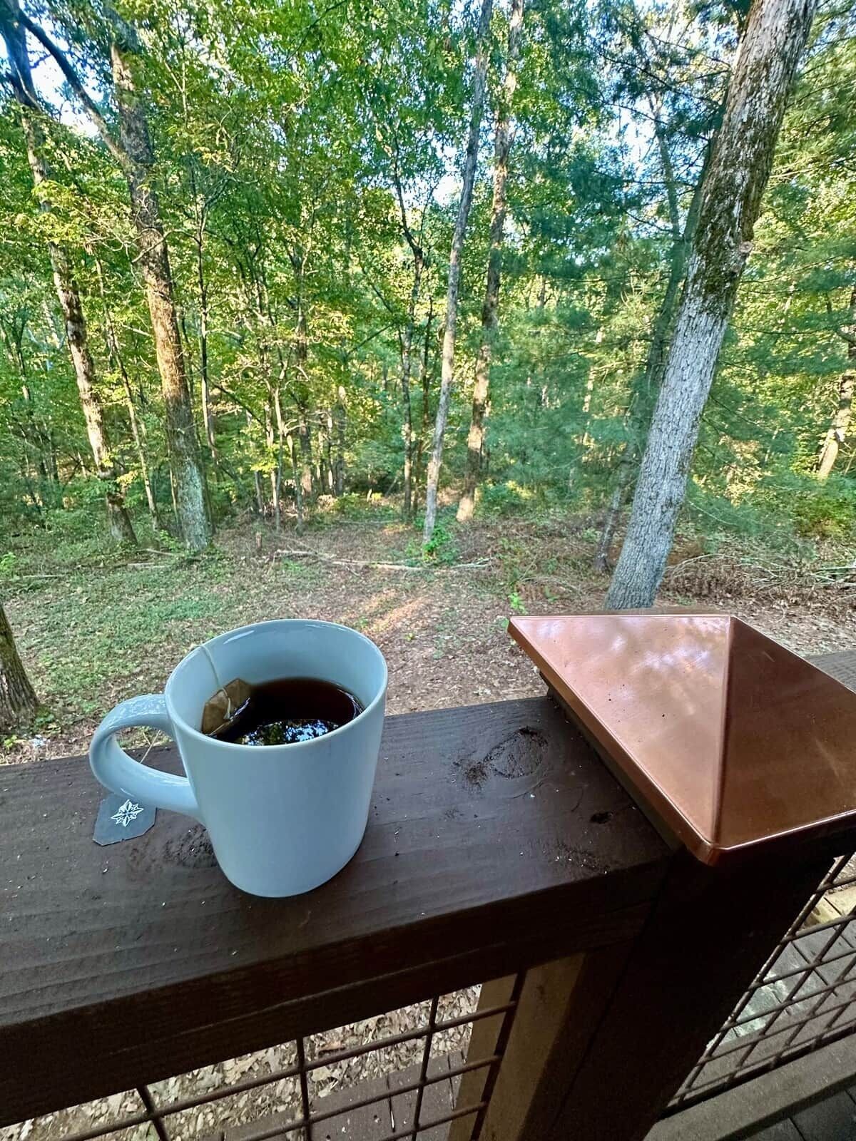 Una taza blanca con una bebida en una terraza de madera, rodeada de un bosque.