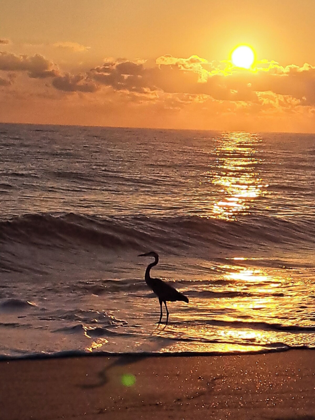 Imagen de perfil del propietario o de la propietaria
