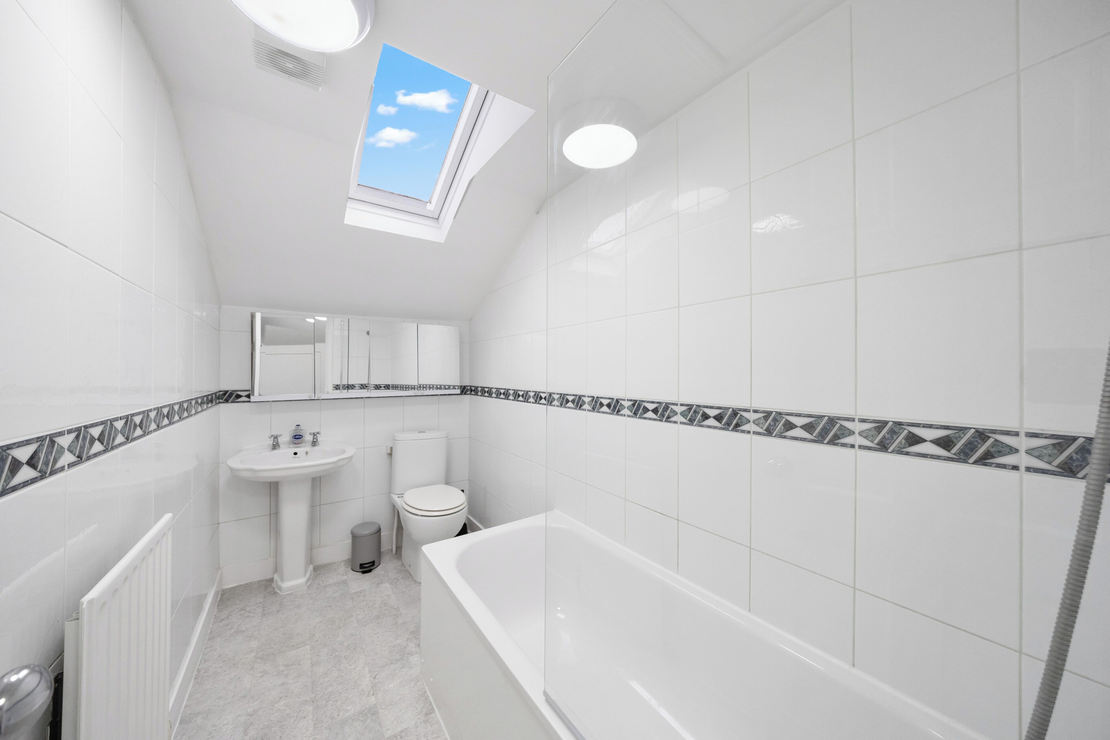 Hair dryer, soap, toilet paper