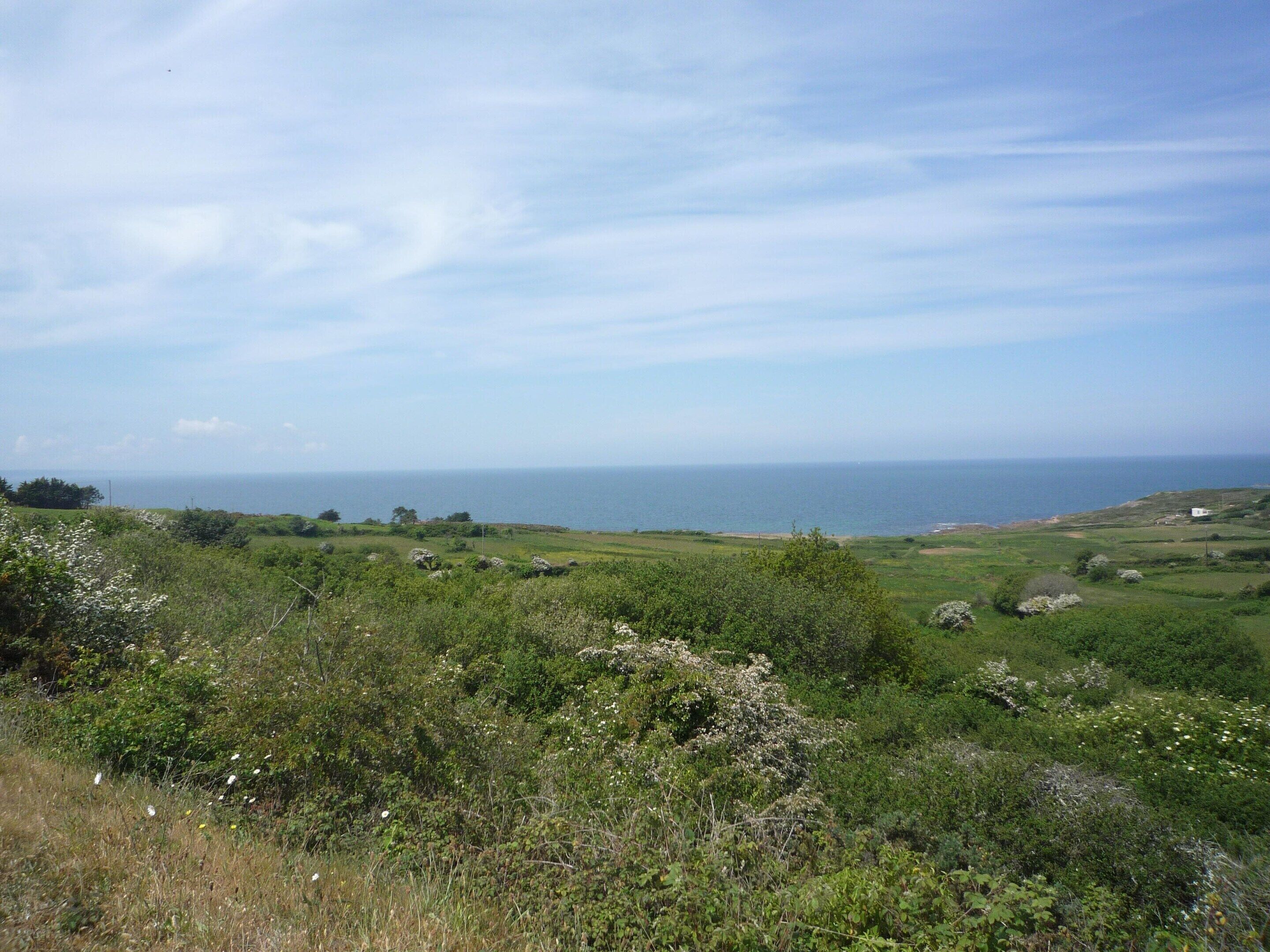 Een kustlandschap met glooiende heuvels, een heldere lucht en de zee in de verte.