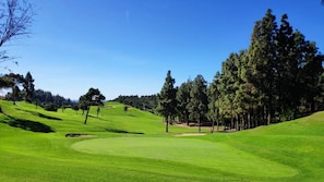 Ein Golfplatz mit gepflegtem Grün, Sandbunkern und hohen Bäumen.