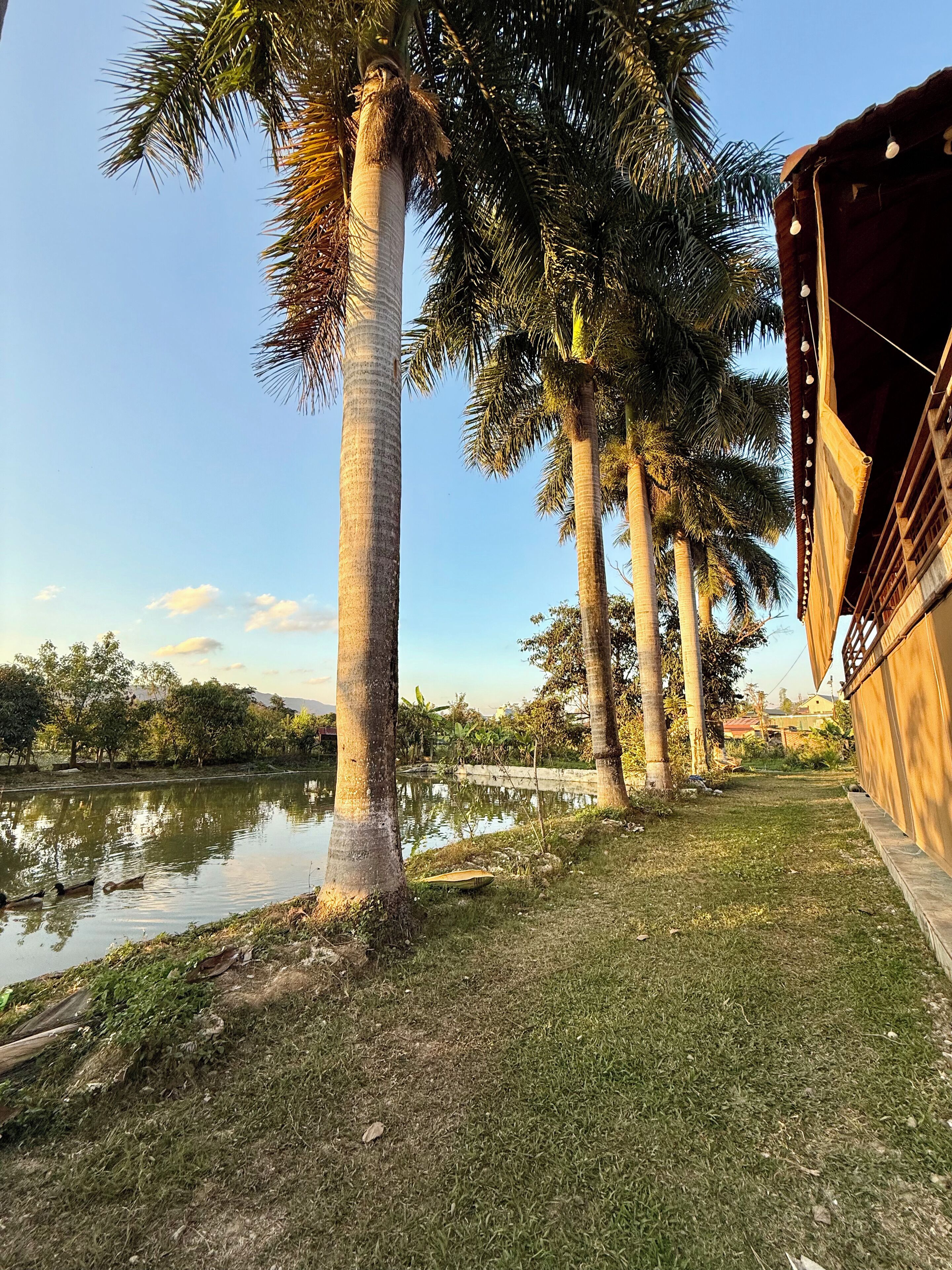 Área da propriedade