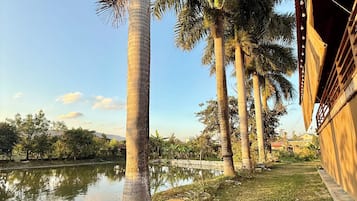 Área da propriedade