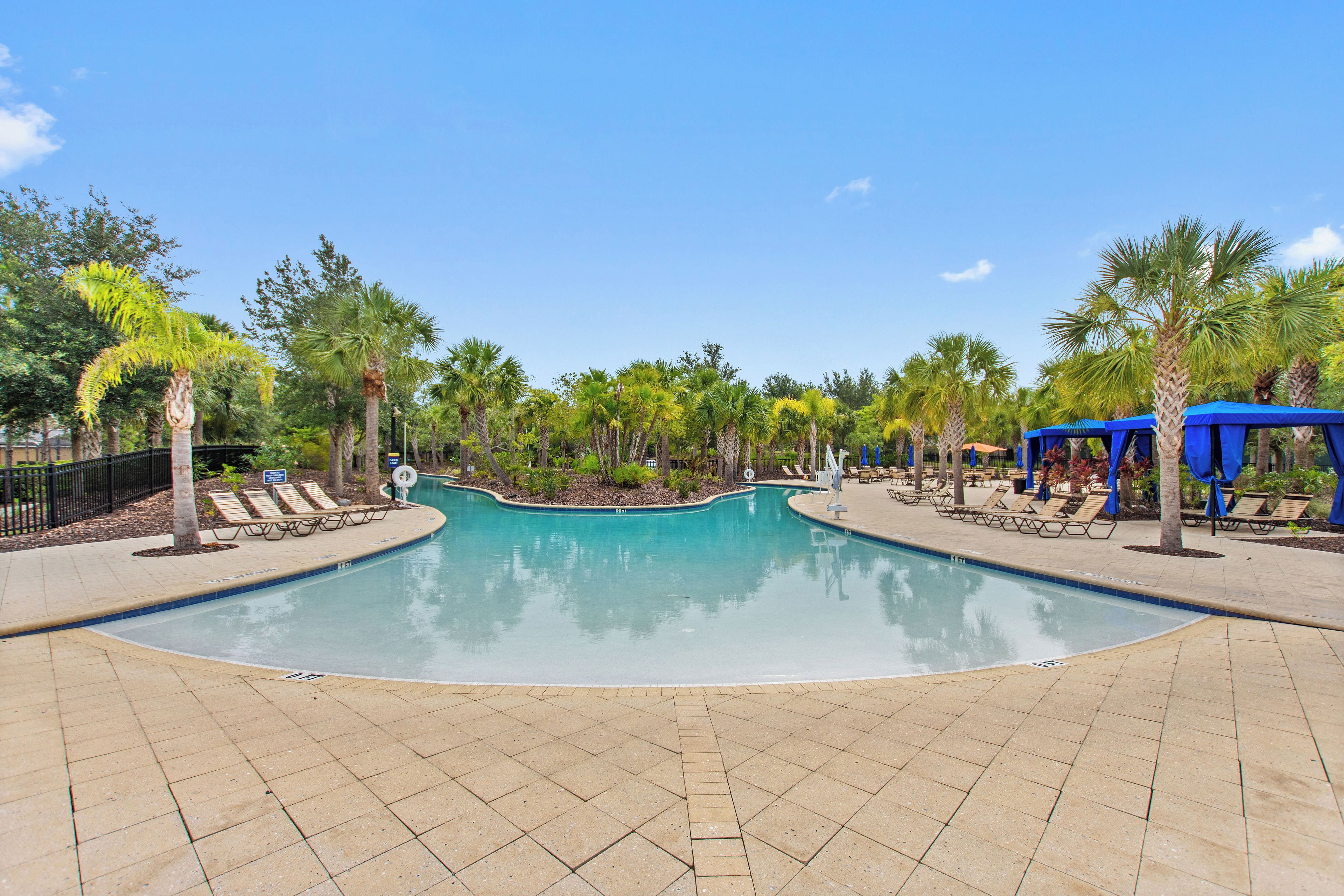 A swimming pool with a curved design, surrounded by palm trees and lounge chairs.
