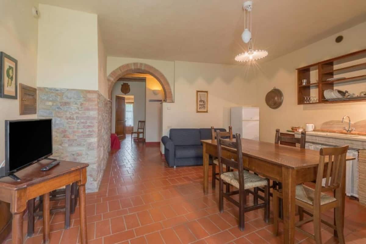 A living room with a TV, a fireplace, a dining area with a table and chairs, and a kitchen area with a sink and cabinets.