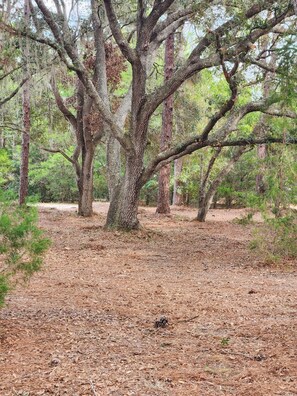 Miscellaneous - Secluded 2BR/2BA home in Central FL (Citra)