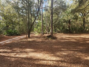 Miscellaneous - Secluded 2BR/2BA home in Central FL (Citra)