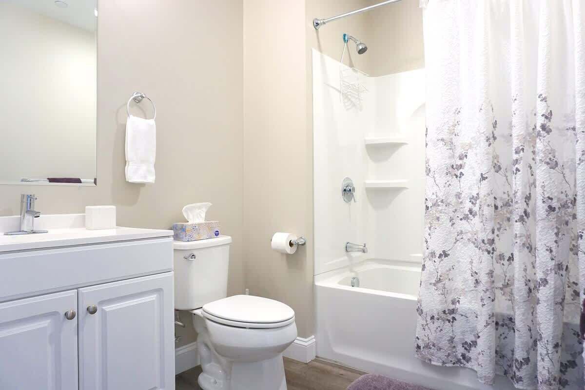 Shower, hair dryer, shampoo