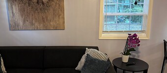 Cozy 1-bedroom building "out back" in downtown Asheboro, NC. Great location.