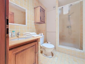 Shower, hair dryer, towels - La Perle du Ried n°8 - Alsatian charm & serenity, just a stone's throw from Europa-Park (Boofzheim)