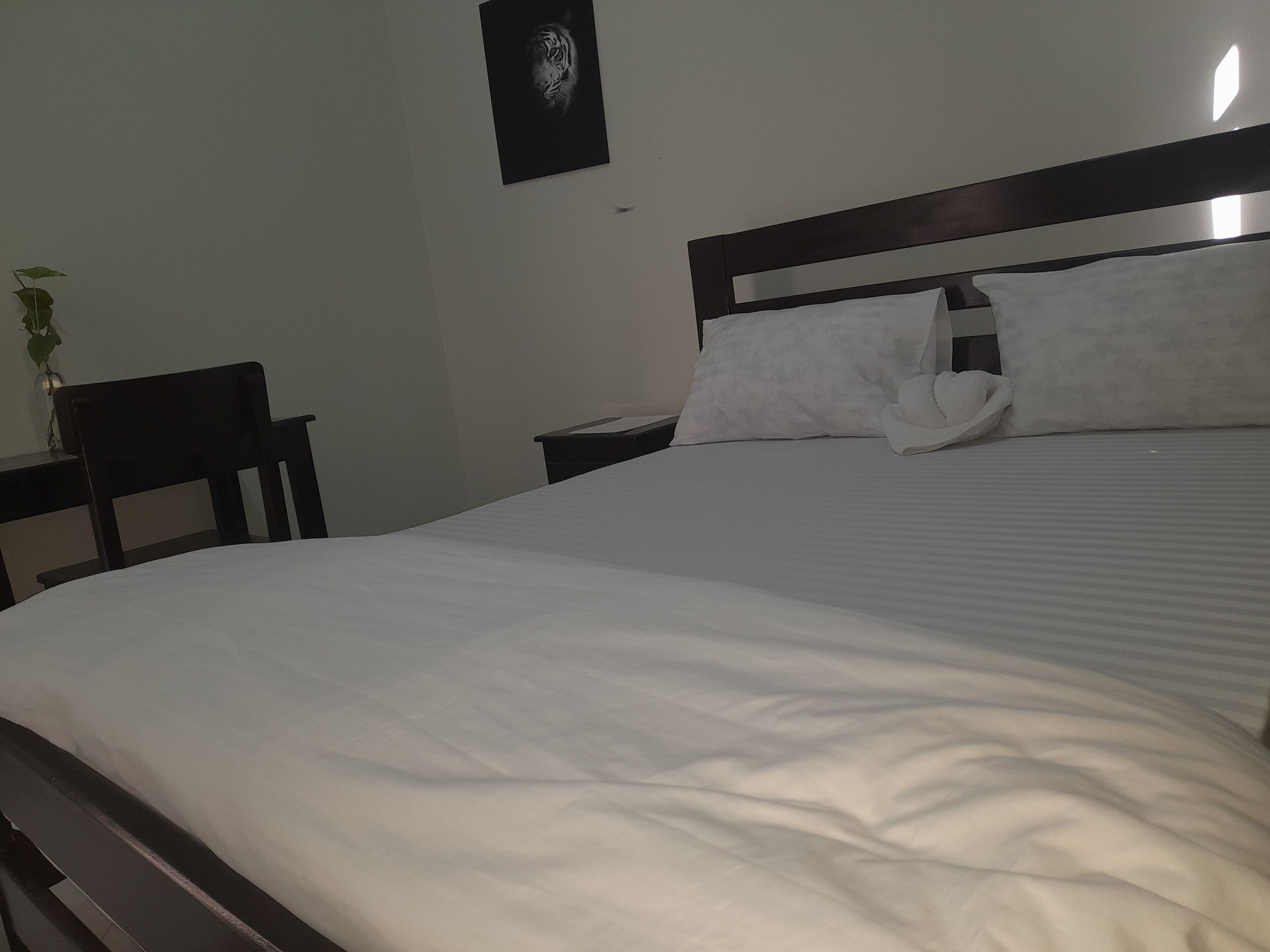 Chambre Double ou avec lits jumeaux | Espace de travail pour ordinateur portable