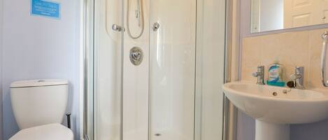 A bathroom with a glass-enclosed shower, a white toilet, and a sink with a mirror above it.