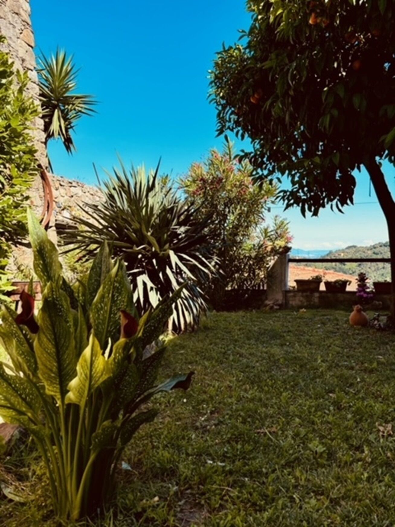 Áreas de la propiedad